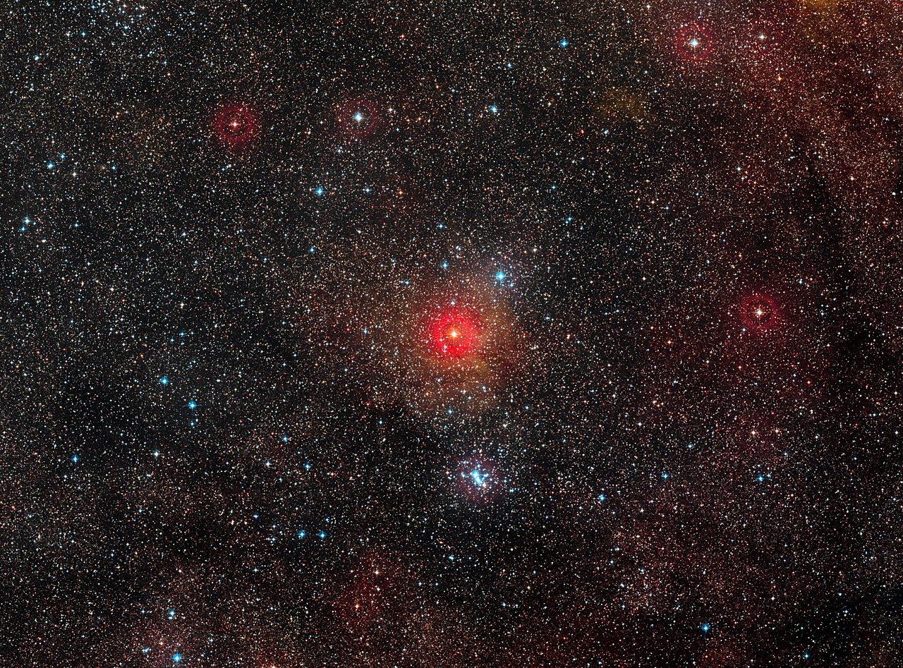 VLT sa pozrel na najväčšieho žltého veľobra