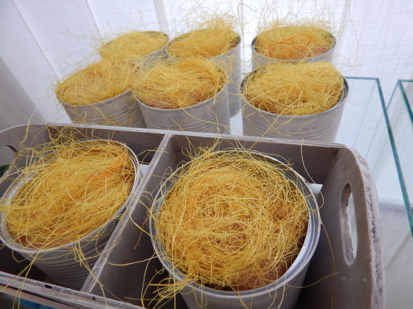 III.turnus ZOSKÁČIK 2022