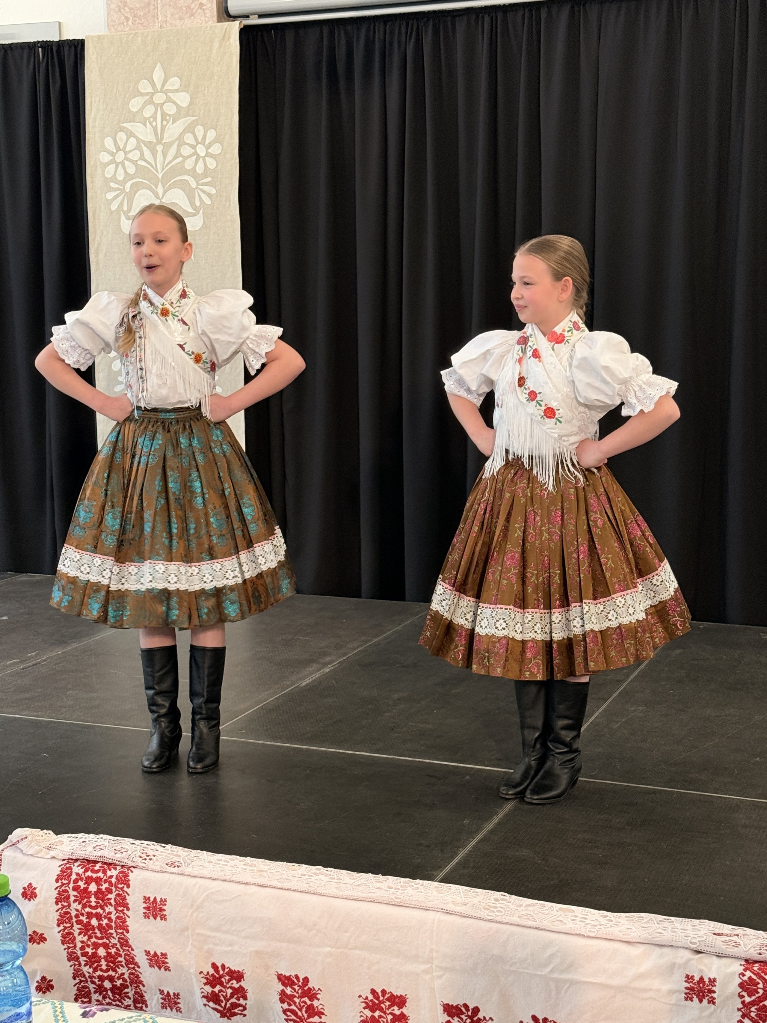 VIDIEČANOVA HABOVKA 2026